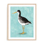 Seashore Bird III Wall Art