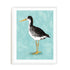 Seashore Bird III Wall Art