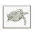 Green Swimming Sea Turtle Wall Art