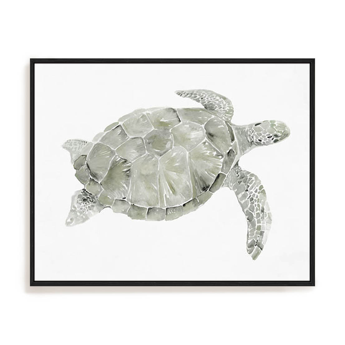 Green Swimming Sea Turtle Wall Art