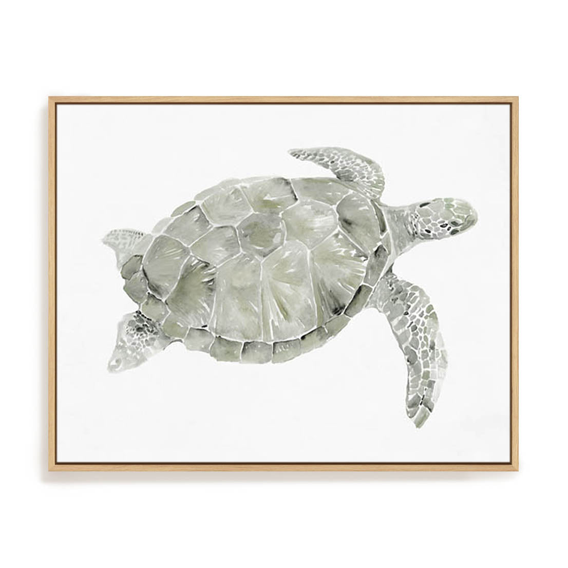 Green Swimming Sea Turtle Wall Art