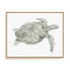 Green Swimming Sea Turtle Wall Art