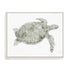 Green Swimming Sea Turtle Wall Art