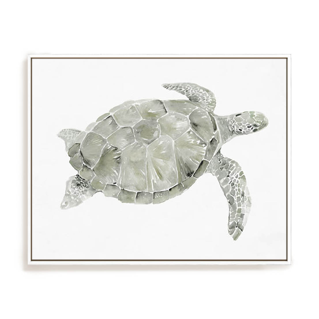 Green Swimming Sea Turtle Wall Art