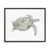 Green Swimming Sea Turtle Wall Art