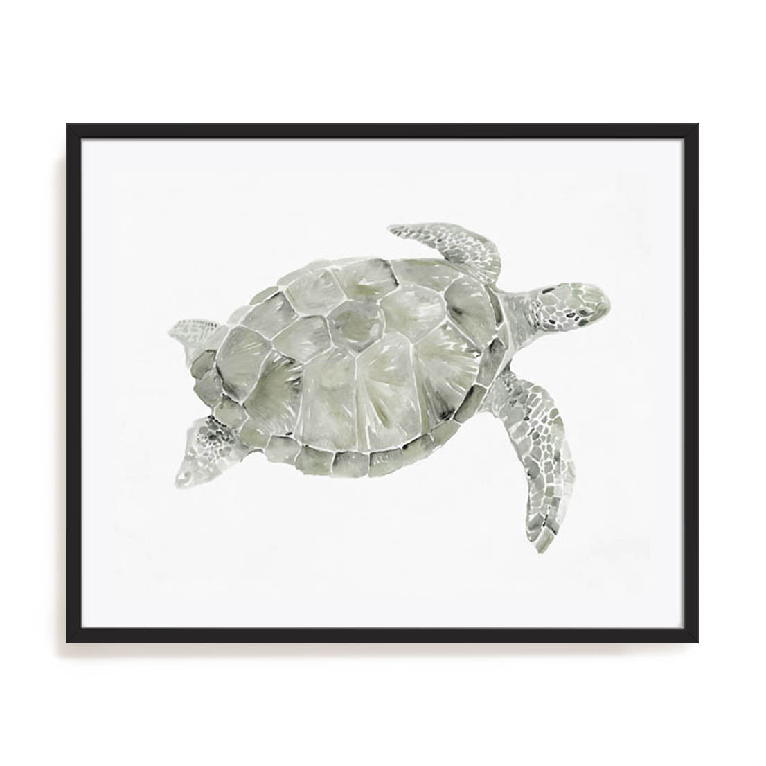 Green Swimming Sea Turtle Wall Art