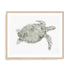 Green Swimming Sea Turtle Wall Art