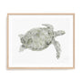 Green Swimming Sea Turtle Wall Art