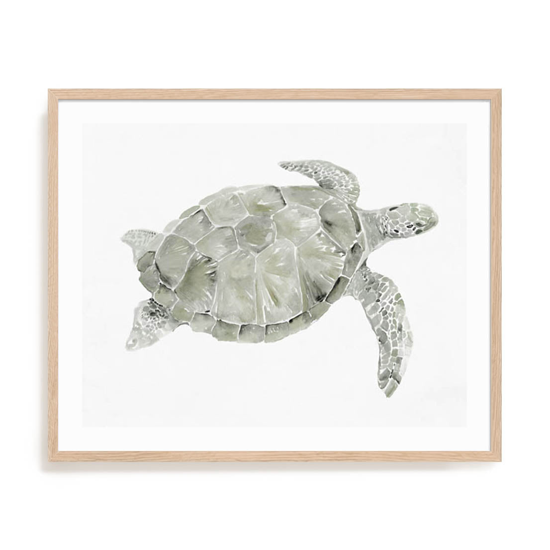 Green Swimming Sea Turtle Wall Art