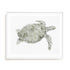 Green Swimming Sea Turtle Wall Art