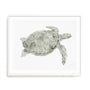 Green Swimming Sea Turtle Wall Art