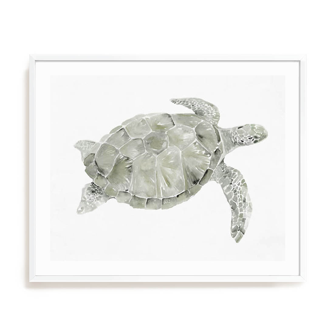 Green Swimming Sea Turtle Wall Art