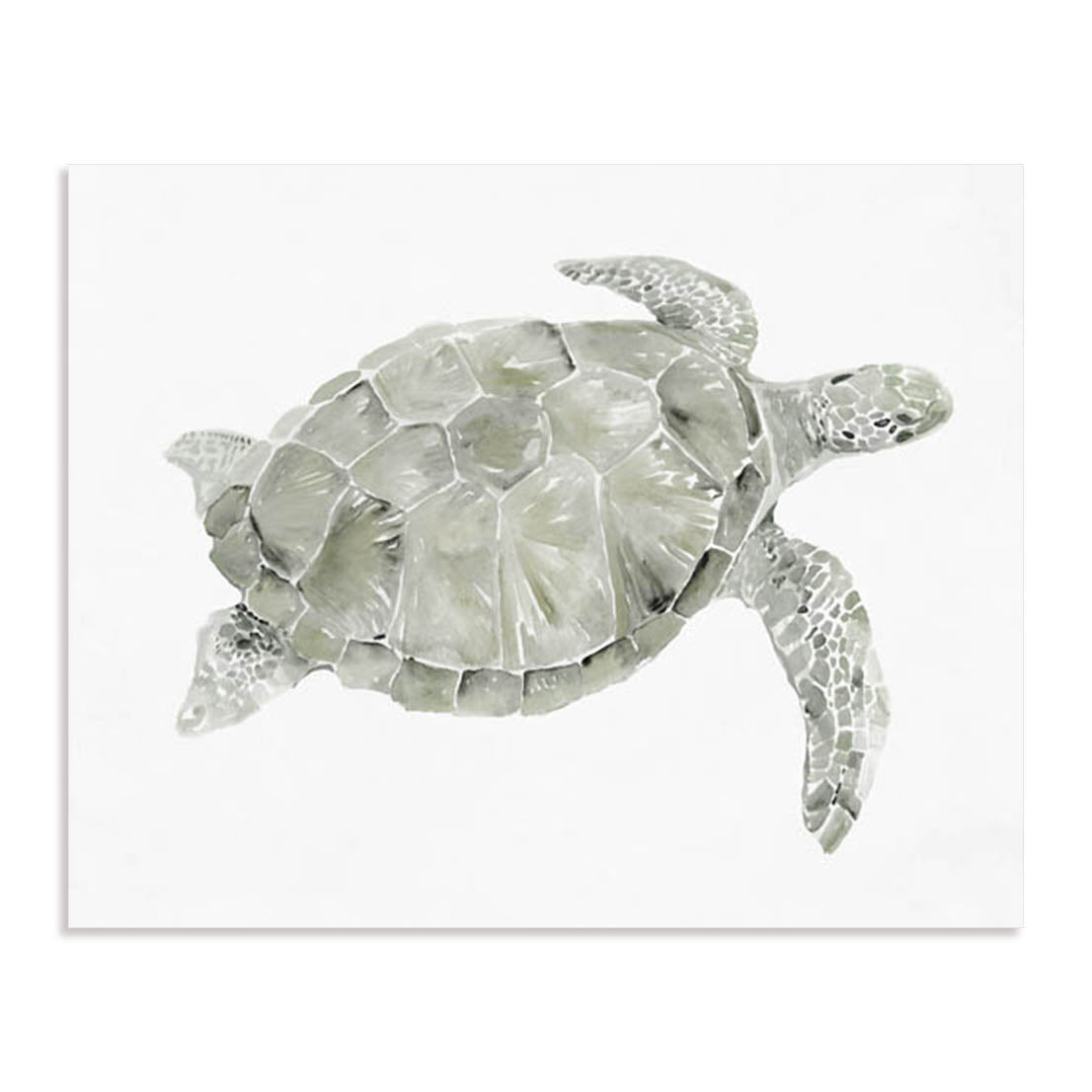 Green Swimming Sea Turtle Wall Art