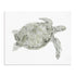 Green Swimming Sea Turtle Wall Art