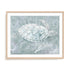 Drifting Sea Turtle Wall Art
