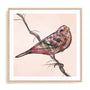 Patchwork Quilt Bird Ii Wall Art