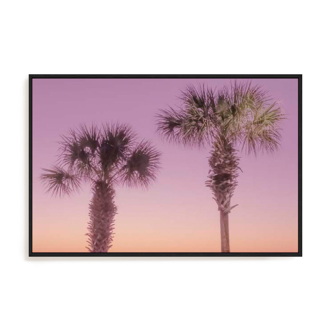 Two Palm Trees Wall Art
