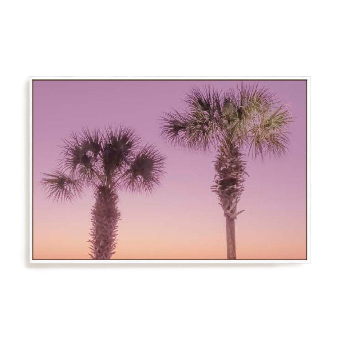 Two Palm Trees Wall Art