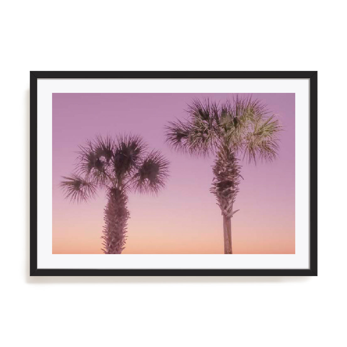 Two Palm Trees Wall Art