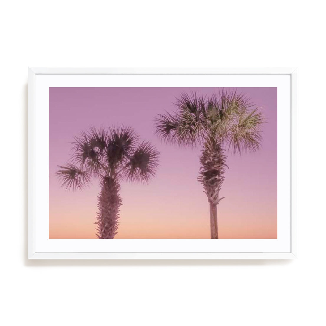 Two Palm Trees Wall Art