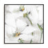 White Purity Wall Art