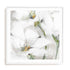 White Purity Wall Art #oran_white-white-border