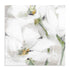 White Purity Wall Art