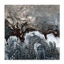 Shore Line Wall Art