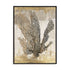 Honey Comb Coral I Wall Art