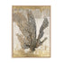 Honey Comb Coral I Wall Art