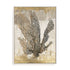 Honey Comb Coral I Wall Art