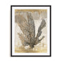 Honey Comb Coral I Wall Art