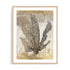 Honey Comb Coral I Wall Art