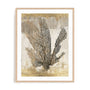 Honey Comb Coral I Wall Art
