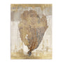Honey Comb Coral III Wall Art