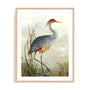 Grey Heron Wall Art