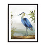 Blue Heron Wall Art