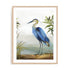Blue Heron Wall Art