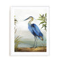 Blue Heron Wall Art