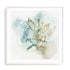 Green Coral II Wall Art #oran_white-white-border