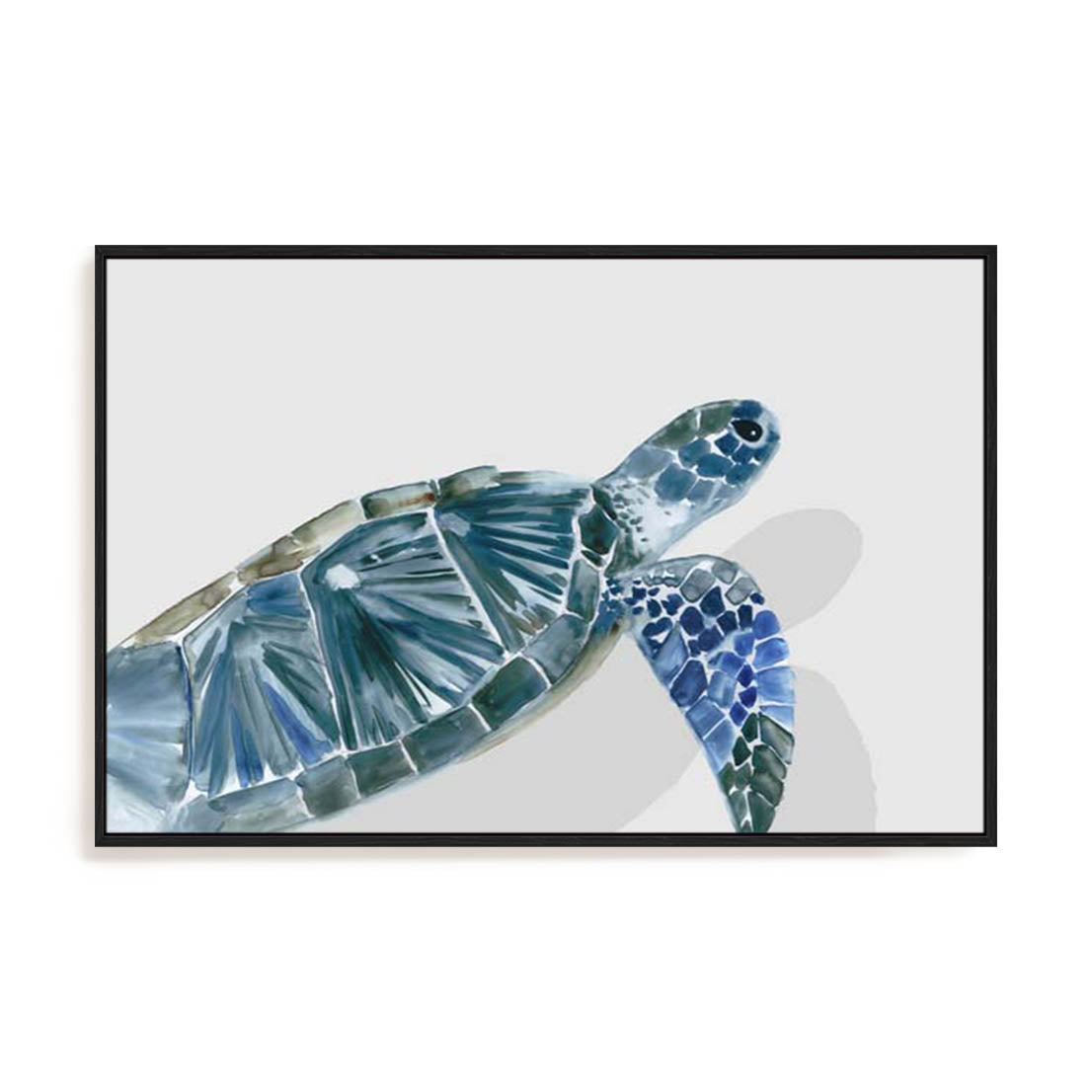 Turquoise Turtle Journey I Wall Art