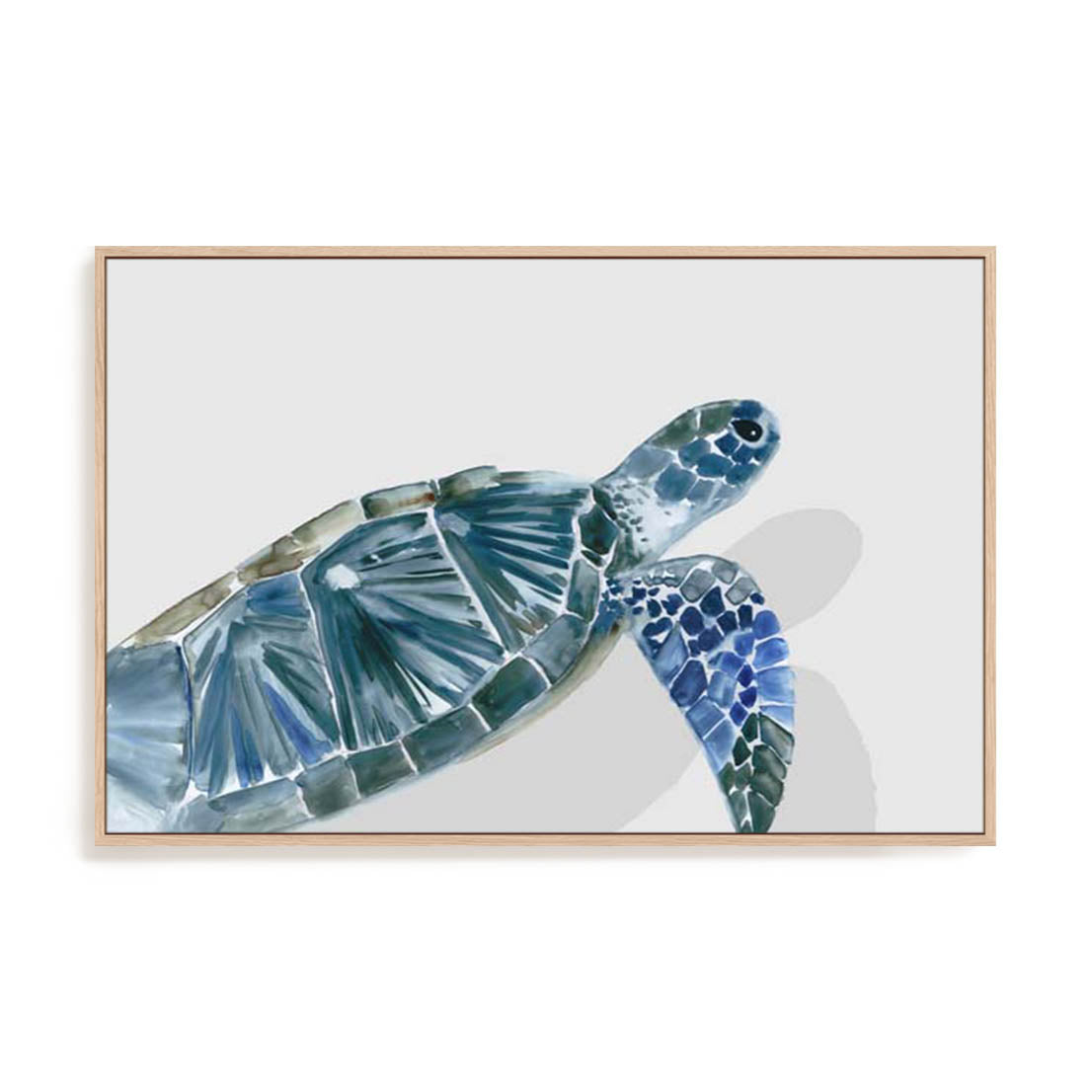 Turquoise Turtle Journey I Wall Art