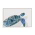 Turquoise Turtle Journey I Wall Art