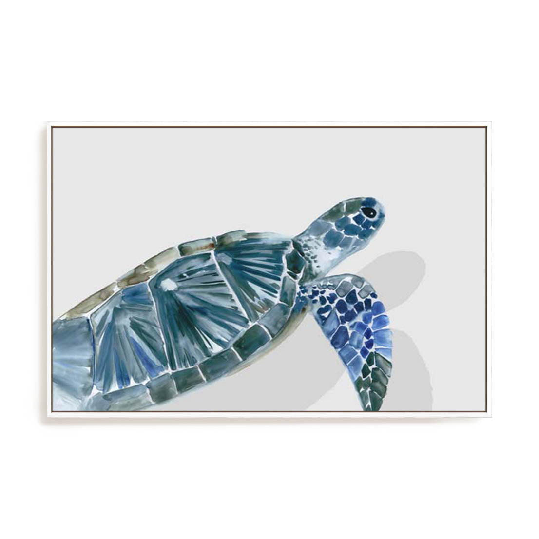 Turquoise Turtle Journey I Wall Art