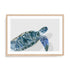 Turquoise Turtle Journey I Wall Art