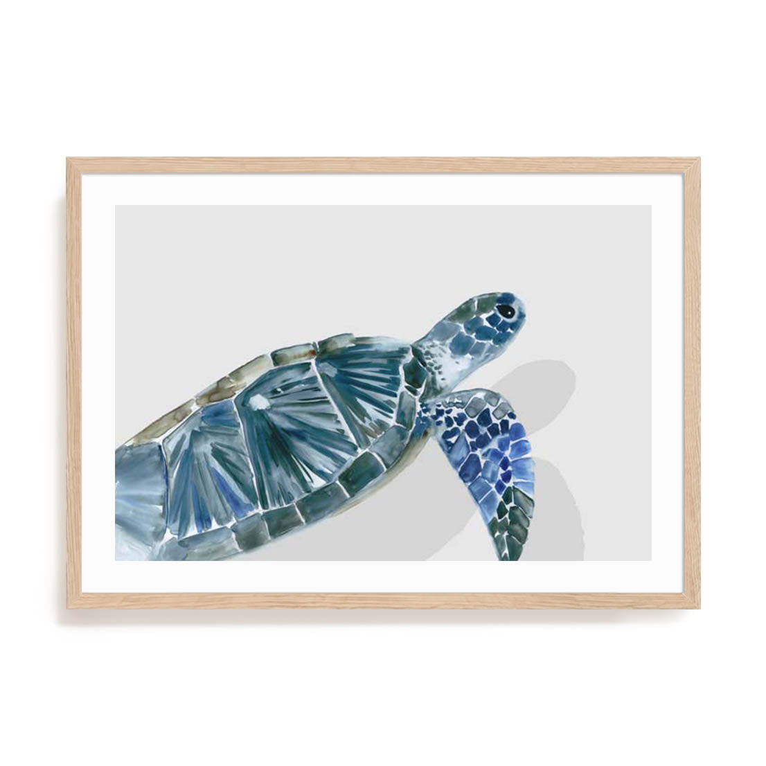 Turquoise Turtle Journey I Wall Art