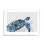 Turquoise Turtle Journey I Wall Art