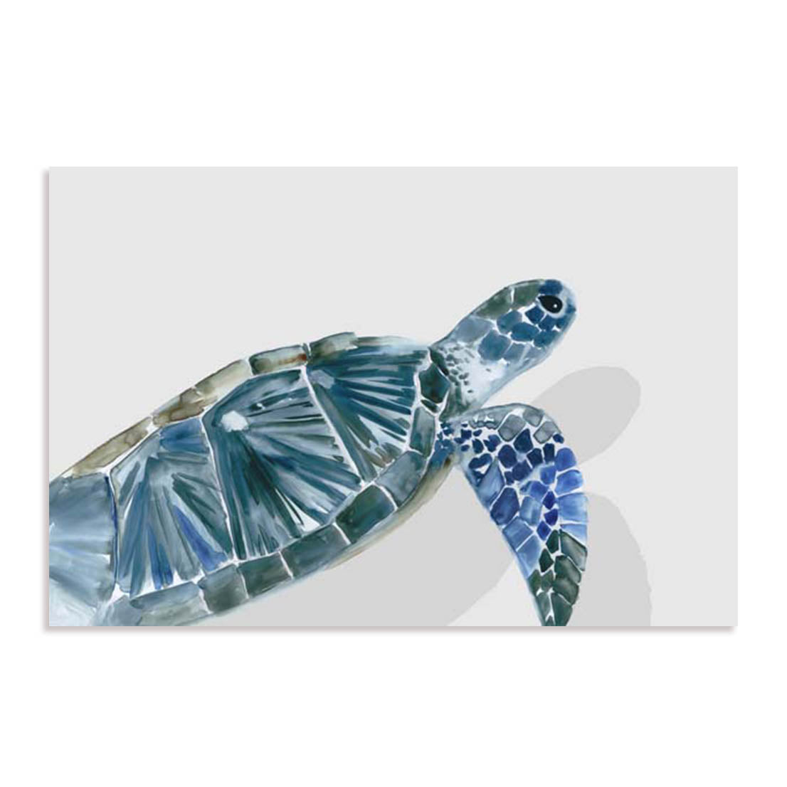 Turquoise Turtle Journey I Wall Art