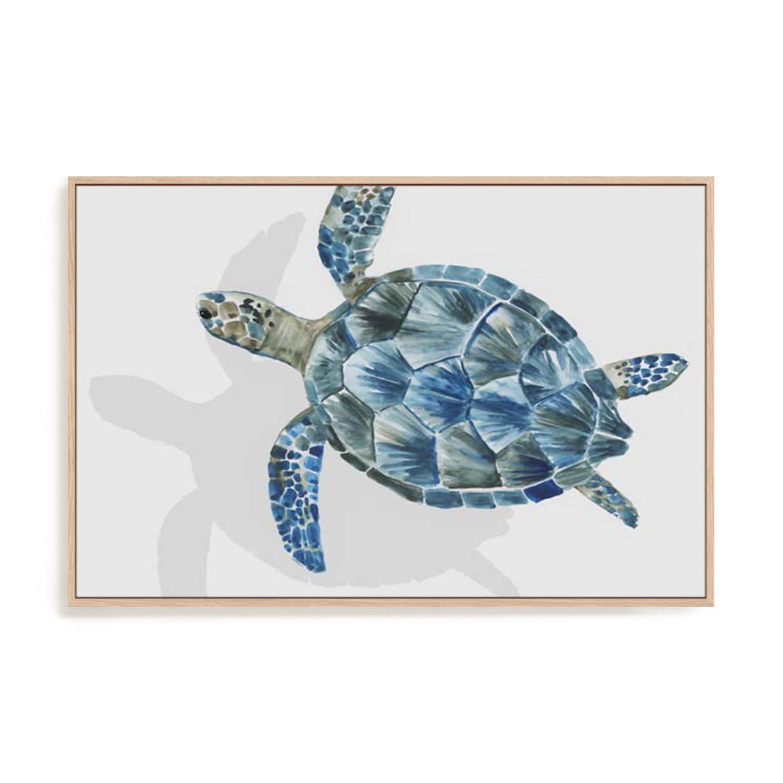 Turquoise Turtle Journey Ii Wall Art