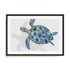Turquoise Turtle Journey Ii Wall Art